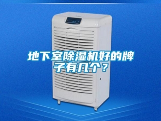 行業(yè)新聞地下室除濕機(jī)好的牌子有幾個(gè)？