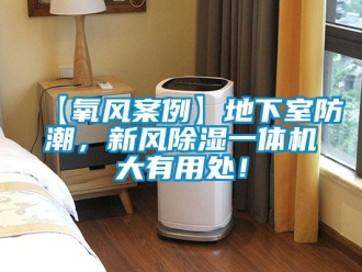 常見問題【氧風案例】地下室防潮，新風除濕一體機大有用處！