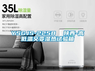 常見問題YSGJS-225B  陜西-高低溫交變濕熱試驗箱