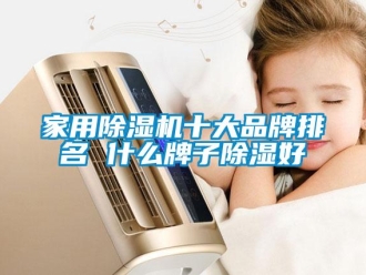 企業新聞家用除濕機十大品牌排名 什么牌子除濕好