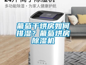 行業(yè)新聞葡萄干烘房如何排濕？葡萄烘房除濕機(jī)