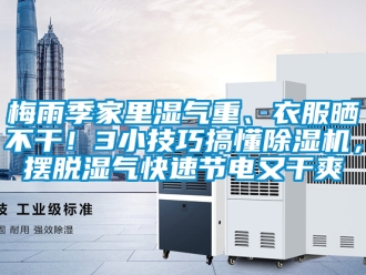 行業新聞梅雨季家里濕氣重、衣服曬不干！3小技巧搞懂除濕機，擺脫濕氣快速節電又干爽