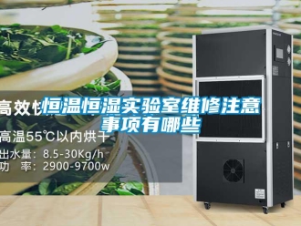 知識(shí)百科恒溫恒濕實(shí)驗(yàn)室維修注意事項(xiàng)有哪些