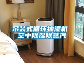 企業新聞吊裝式循環抽濕機 空中除濕除蒸汽