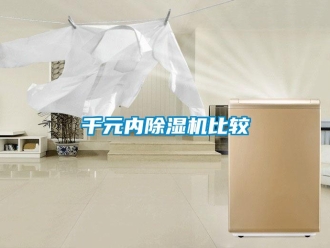 行業新聞千元內除濕機比較