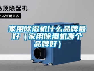 企業新聞家用除濕機什么品牌最好（家用除濕機哪個品牌好）