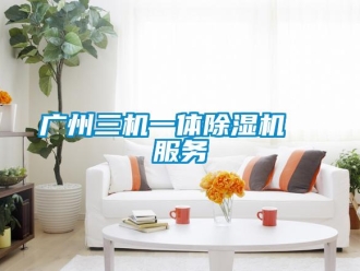 行業新聞廣州三機一體除濕機  服務