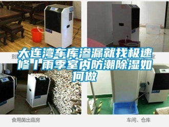 企業新聞大連灣車庫滲漏就找極速修丨雨季室內防潮除濕如何做