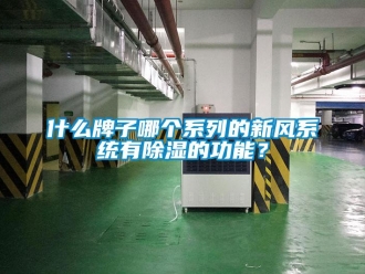 行業(yè)新聞什么牌子哪個系列的新風(fēng)系統(tǒng)有除濕的功能？