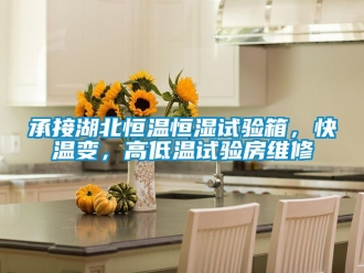 知識百科承接湖北恒溫恒濕試驗箱，快溫變，高低溫試驗房維修