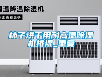 行業新聞柿子烘干用耐高溫除濕機排濕_重復