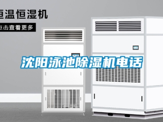 行業新聞沈陽泳池除濕機電話