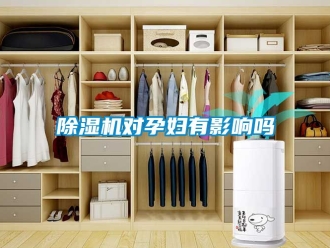 行業(yè)新聞除濕機(jī)對(duì)孕婦有影響嗎