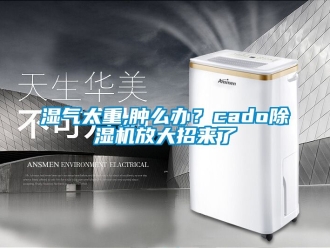 行業新聞濕氣太重,腫么辦？cado除濕機放大招來了