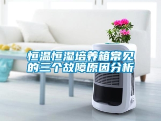 知識百科恒溫恒濕培養箱常見的三個故障原因分析