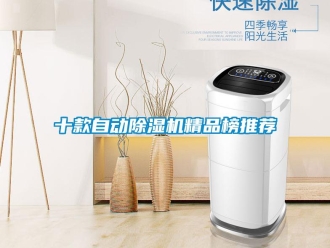 行業(yè)新聞十款自動除濕機精品榜推薦