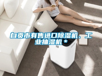 常見問題自貢市有售進口除濕機、工業(yè)抽濕機＊