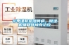 冬季謹防風濕骨病，除濕機輔助環境有功效