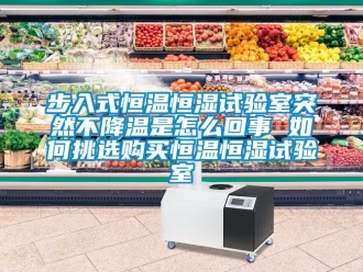 知識百科步入式恒溫恒濕試驗室突然不降溫是怎么回事 如何挑選購買恒溫恒濕試驗室