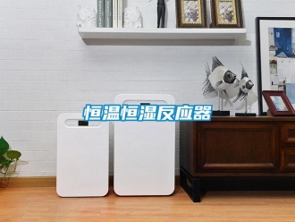 知識百科恒溫恒濕反應器
