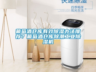 常見問(wèn)題葡萄酒倉(cāng)庫(kù)有效除濕辦法推薦？葡萄酒倉(cāng)庫(kù)除潮工業(yè)除濕機(jī)