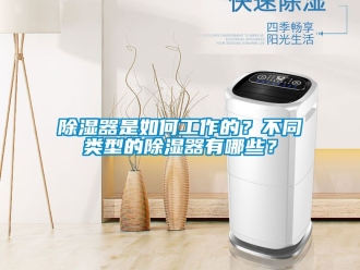 行業(yè)新聞除濕器是如何工作的？不同類型的除濕器有哪些？