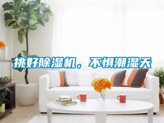 知識百科挑好除濕機，不懼潮濕天