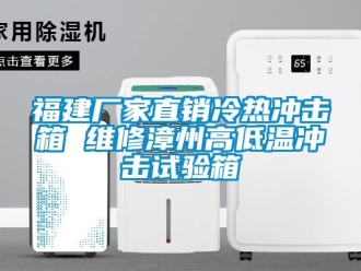 常見問題福建廠家直銷冷熱沖擊箱 維修漳州高低溫沖擊試驗箱