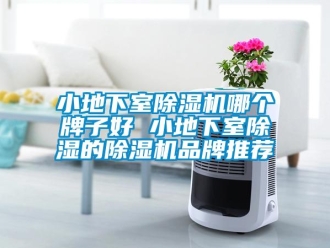 企業(yè)新聞小地下室除濕機(jī)哪個(gè)牌子好 小地下室除濕的除濕機(jī)品牌推薦