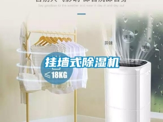 行業(yè)新聞掛墻式除濕機