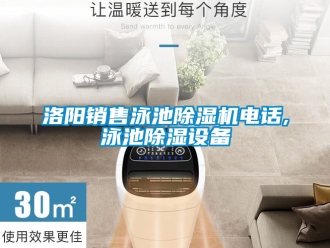 行業新聞洛陽銷售泳池除濕機電話,泳池除濕設備