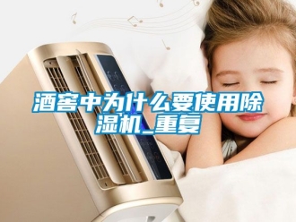 行業新聞酒窖中為什么要使用除濕機_重復