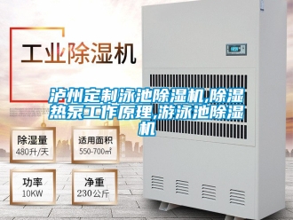 行業新聞瀘州定制泳池除濕機,除濕熱泵工作原理,游泳池除濕機