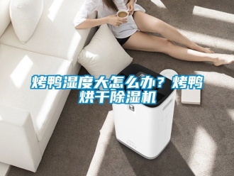 行業新聞烤鴨濕度大怎么辦？烤鴨烘干除濕機