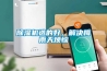 除濕機選的好，解決梅雨天煩惱