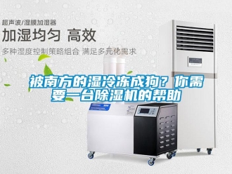 常見問題被南方的濕冷凍成狗？你需要一臺除濕機的幫助