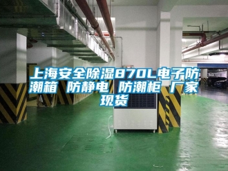 常見問題上海安全除濕870L電子防潮箱 防靜電 防潮柜 廠家現貨