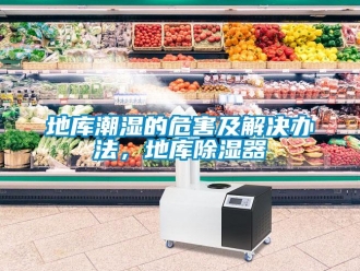 企業新聞地庫潮濕的危害及解決辦法，地庫除濕器