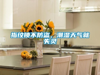 知識百科指紋鎖不防盜，潮濕天氣就失靈