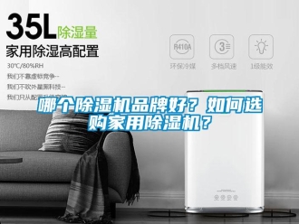 企業(yè)新聞哪個除濕機品牌好？如何選購家用除濕機？