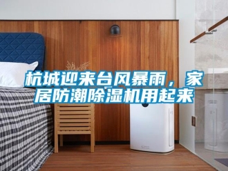 行業新聞杭城迎來臺風暴雨，家居防潮除濕機用起來