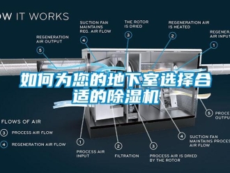 常見問題如何為您的地下室選擇合適的除濕機(jī)