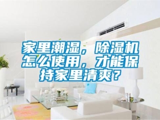 行業新聞家里潮濕，除濕機怎么使用，才能保持家里清爽？