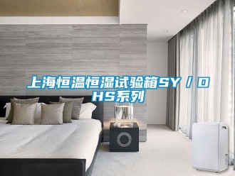 知識百科上海恒溫恒濕試驗箱SY／DHS系列