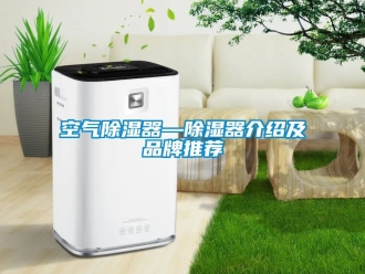 行業(yè)新聞空氣除濕器—除濕器介紹及品牌推薦