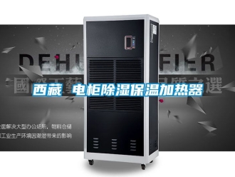 行業(yè)新聞西藏 電柜除濕保溫加熱器
