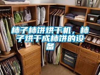 知識百科柿子柿餅烘干機，柿子烘干成柿餅的設備