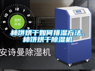 行業新聞柿餅烘干如何排濕方法，柿餅烘干除濕機