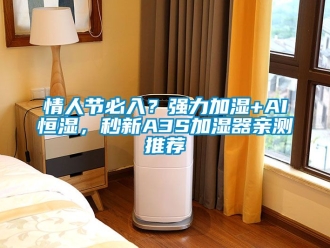 知識百科情人節必入？強力加濕+AI恒濕，秒新A3S加濕器親測推薦