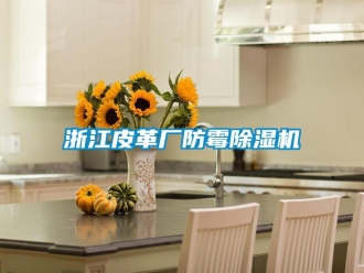 知識百科浙江皮革廠防霉除濕機